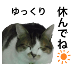 558315971
