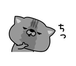 558320294