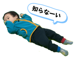 558337002