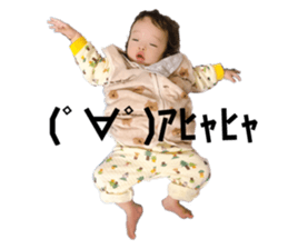 558337005
