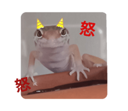 558337286