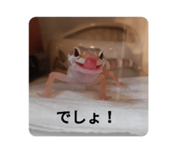 558337298