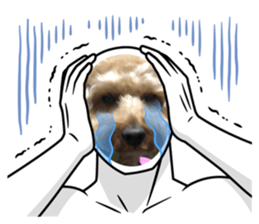 558338927
