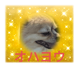 558373488