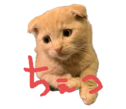 558374951
