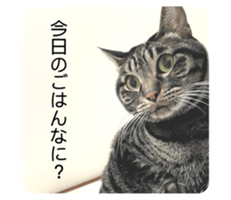 558375916