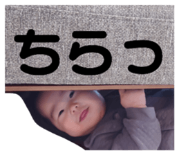 558379598