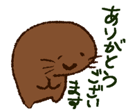 558387384
