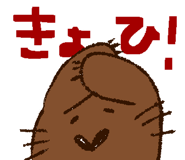 558387390