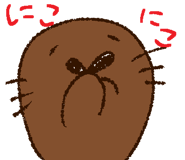 558387393