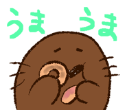 558387394
