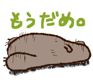558387417