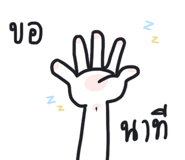 558393905