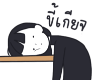 558393908