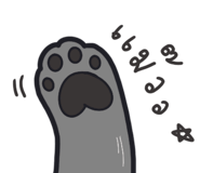 558393925