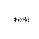 558399053