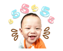 558399487