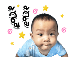 558399501