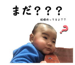 558400363