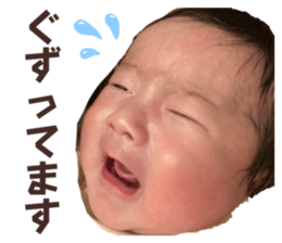 558403299