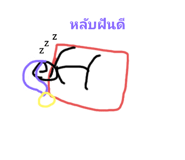 558432755