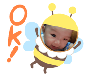 558433731