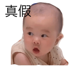 558444336