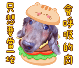 558452248