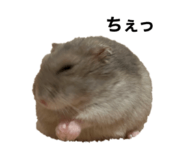 558455614