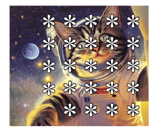 558485293