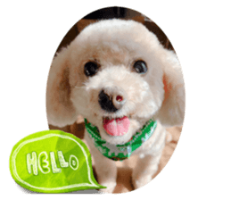 558495536