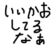 558496533