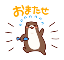 5585255