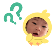558577683