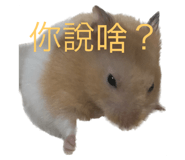 558580666