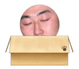 558595135
