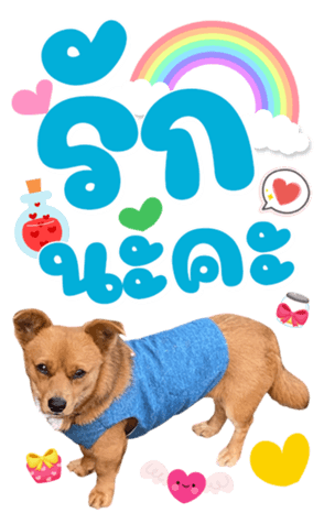 558618535