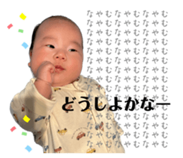 558639156