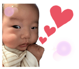 558639162