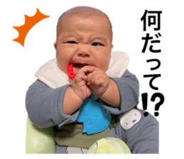 558643918