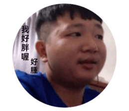 558653140