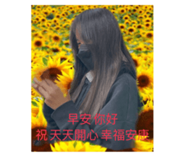 558653531