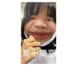 558653546