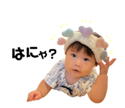558655486