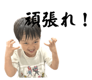558664321