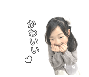 558664340