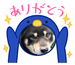 558670021