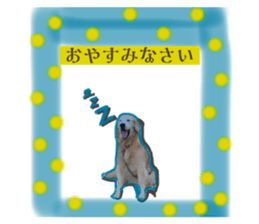 558670256