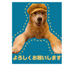 558670261