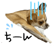 558670271